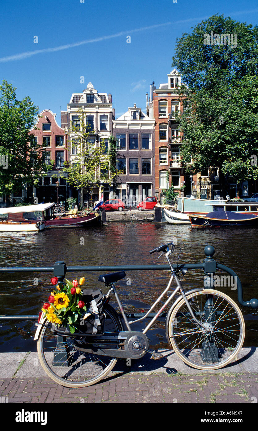 Radeln Sie mit Sammlung von Tulpen auf das Canalside im Zentrum von Amsterdam mit ziemlich holländischen Häuser Stockfoto