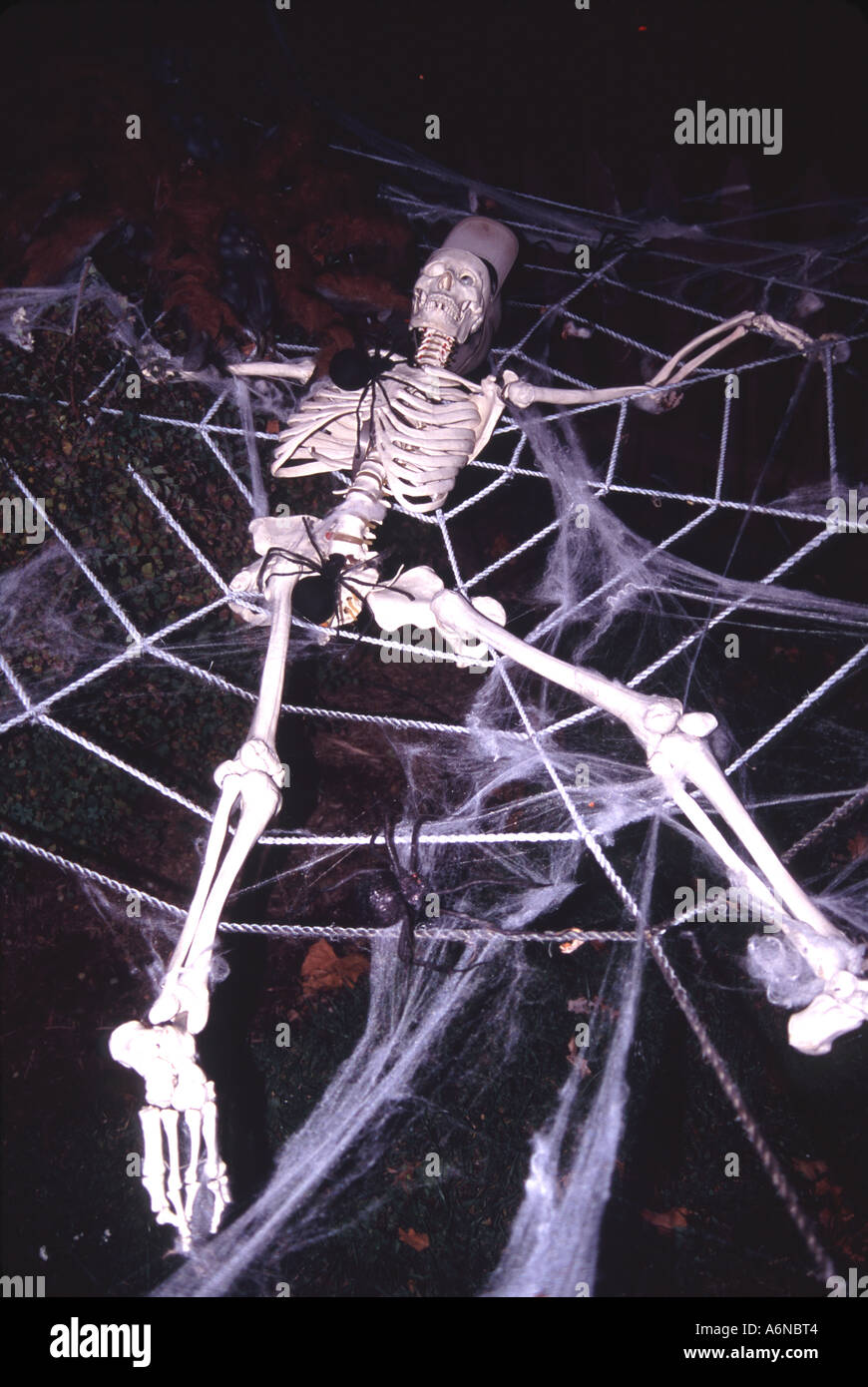 Skelett ruht in einem Spinnennetz der Halloween-Nacht Stockfoto