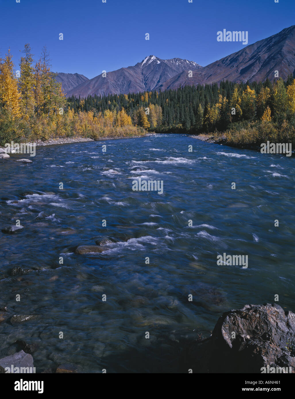 East Fork der Chulitna Fluss Matanuska Berge und Herbstlaub Blick vom George Parks Highway Meilenstein 185 Alaska USA Stockfoto