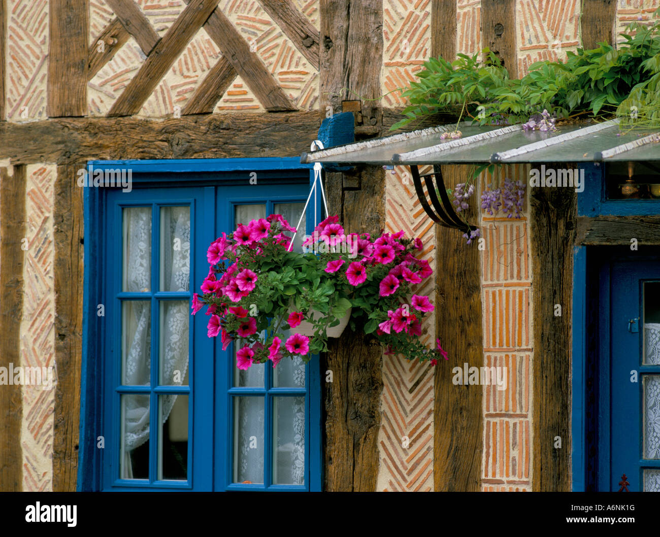 Hängenden Korb von Petunien auf traditionellen Backstein und Holz-Haus Normandie Frankreich Europa Stockfoto