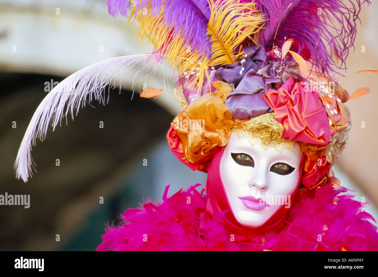 Porträt einer Person gekleidet in Maske und Kostüm an Karneval Venedig Karneval Venedig Veneto Italien Europa Stockfoto