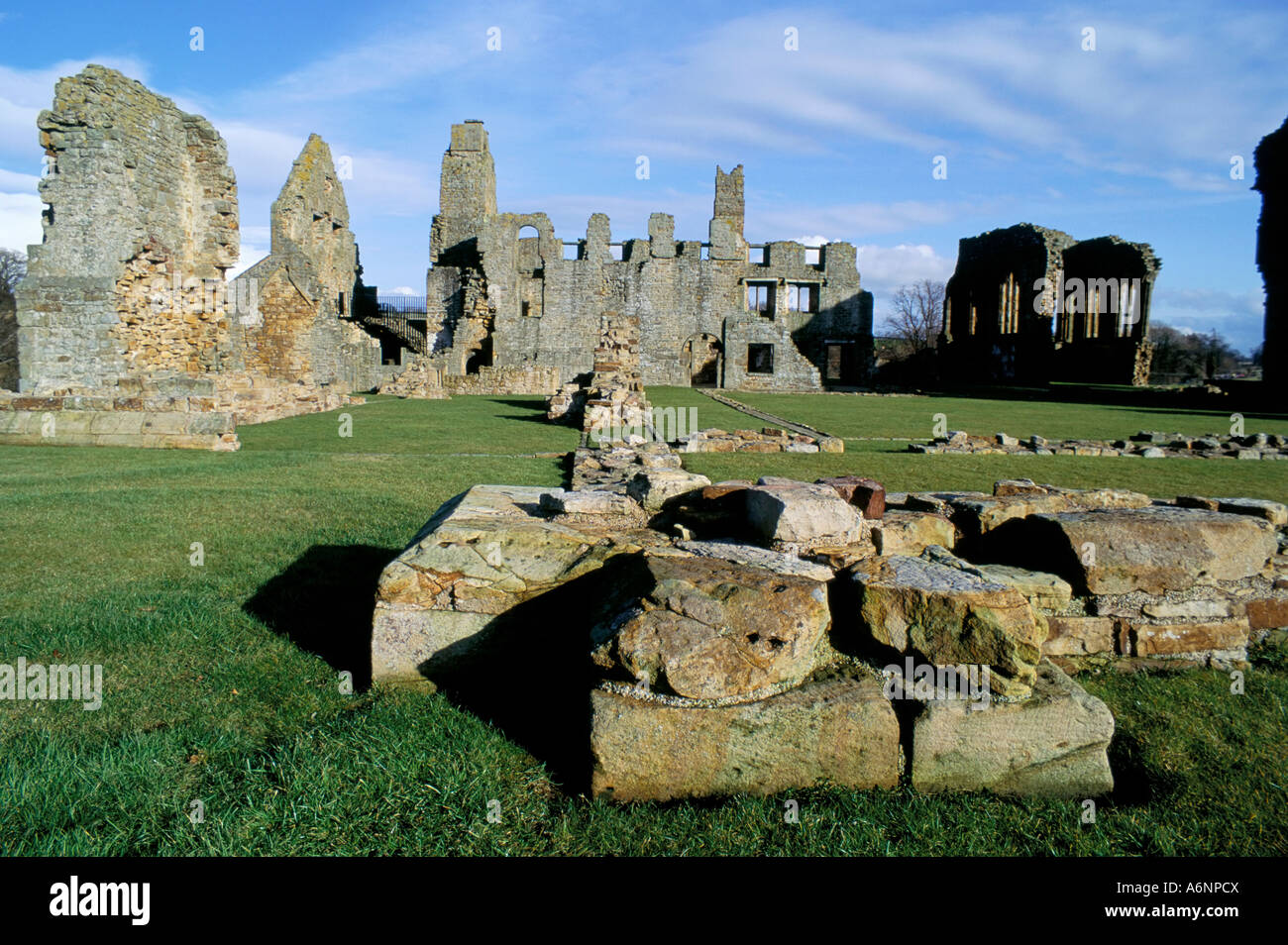 Easby Abbey in der Nähe von Richmond Yorkshire England England Europa Stockfoto