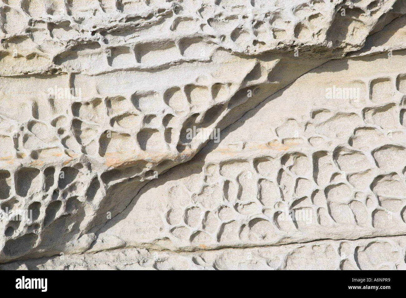 Waben Sie-Muster auf Sedimentgestein in Elgol, Isle Of Skye, Highlands, Schottland Stockfoto
