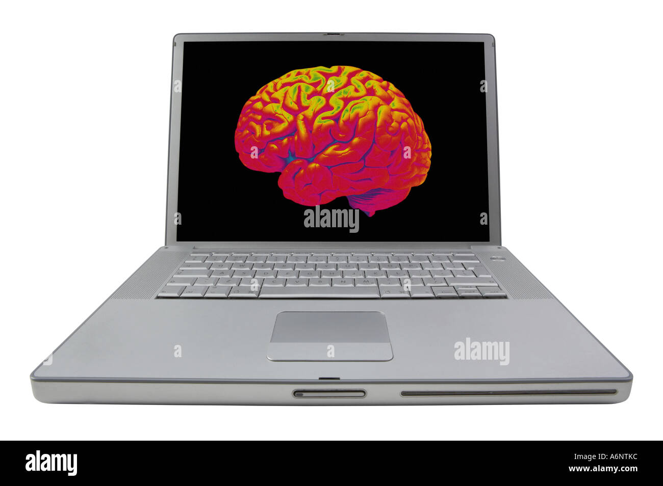 RUNDE KOPFNOTE BUCH COMPUTER ANZEIGE BILD DES MENSCHLICHEN GEHIRNS ON SCREEN Stockfoto