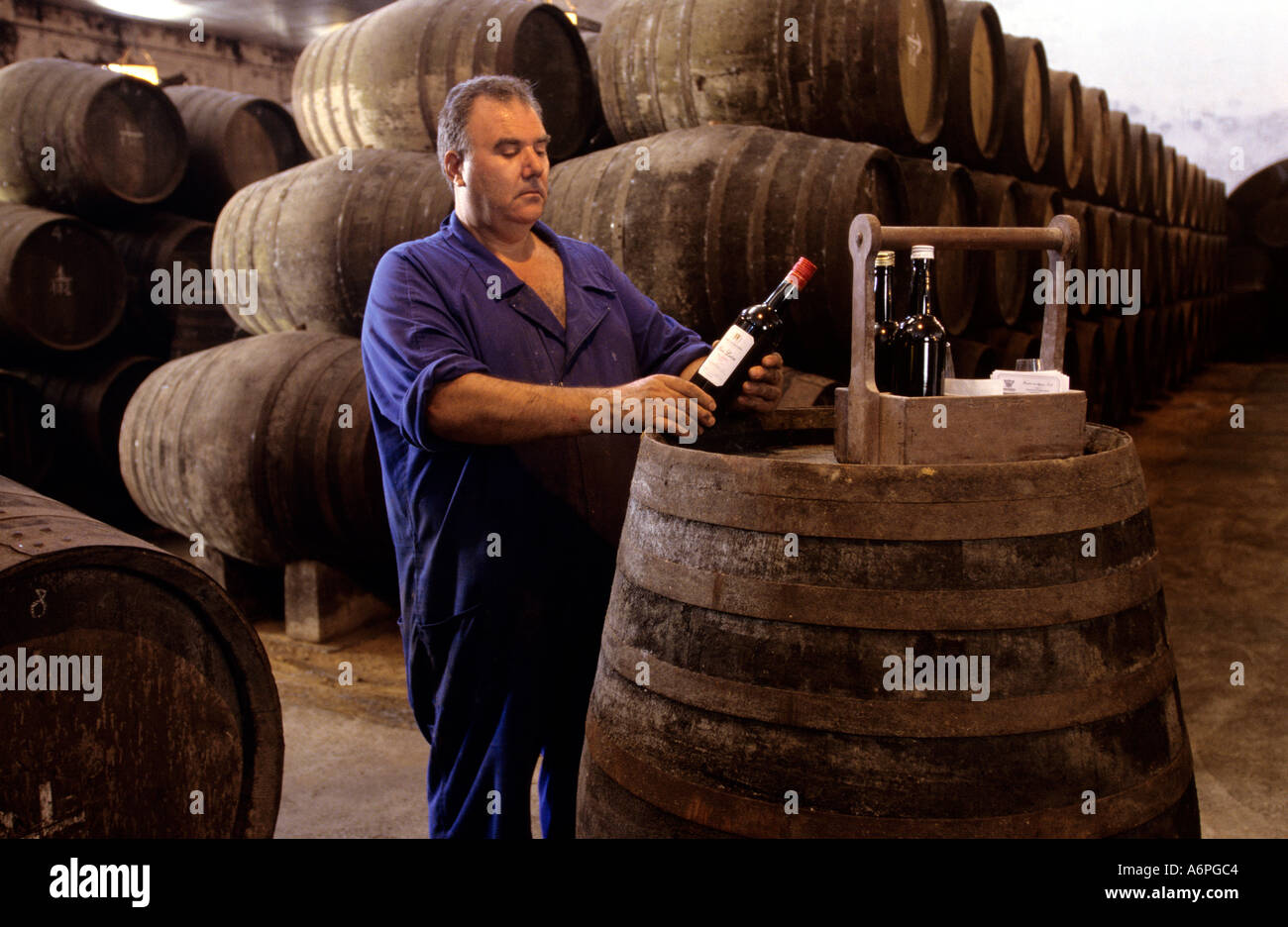 Arbeiter in den Reifungskeller einer Weinkellerei in Spanien Stockfoto