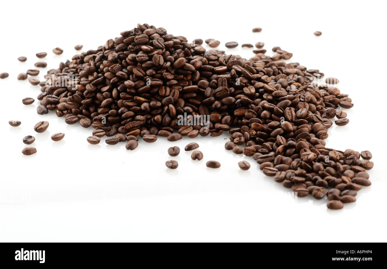 EIN HAUFEN VON KAFFEE / KAKAO BOHNEN AUF WEIßEM HINTERGRUND Stockfoto
