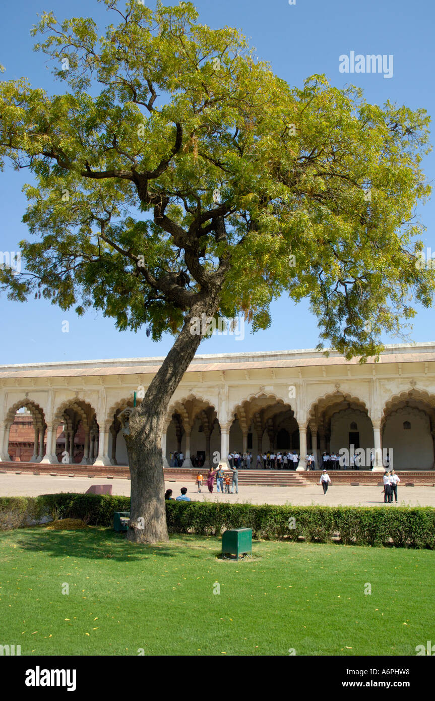 Diwan E Am Gericht von Publikum Agra Fort aus dem 16. Jahrhundert gebaut durch große Moghal Kaiser Shah Jahan Indien Stockfoto