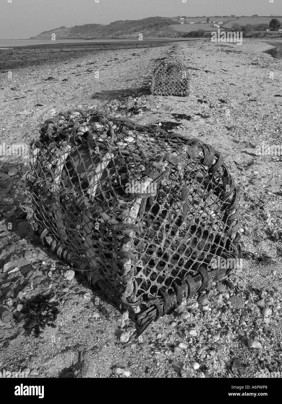 Hummertöpfe, Schwarz-Weiß-Landschaft, Thorness Bay Beach, Gurnard, Cowes, Isle of Wight, England, Großbritannien, GB. Stockfoto