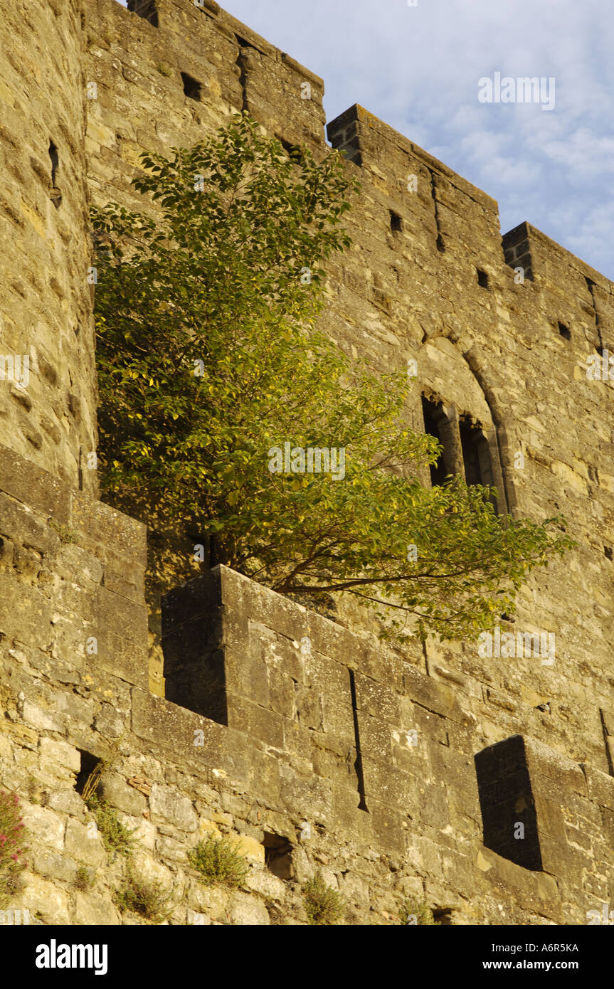 Carcassonne, mittelalterliche Festung Stockfoto