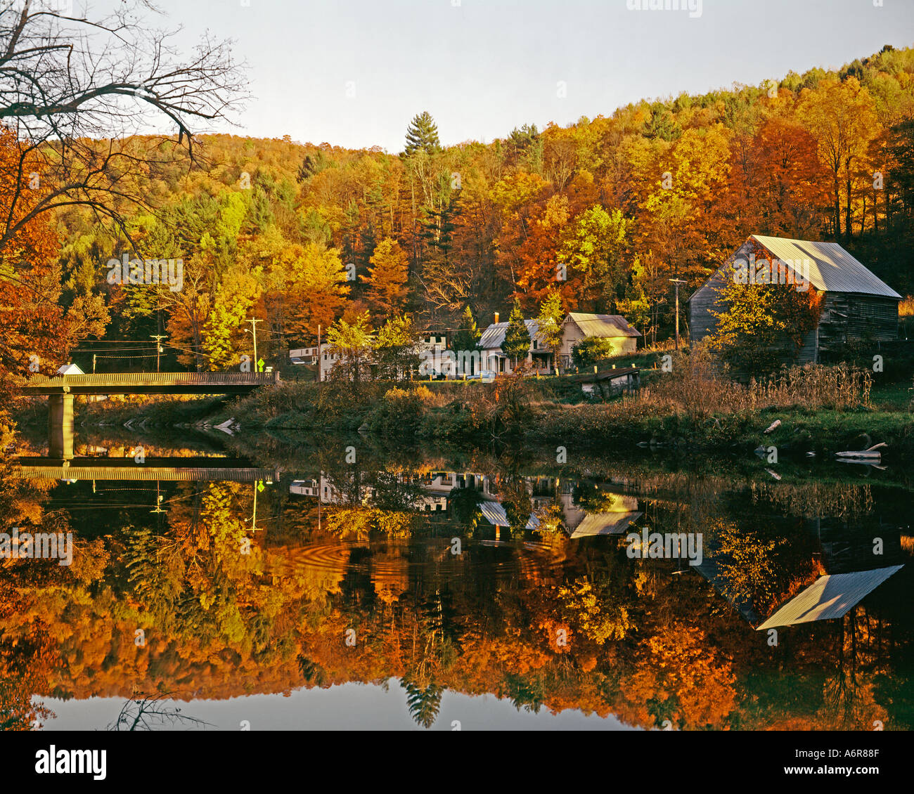 Herbstfarben in der Nähe von North Conway New Hampshire USA Stockfoto
