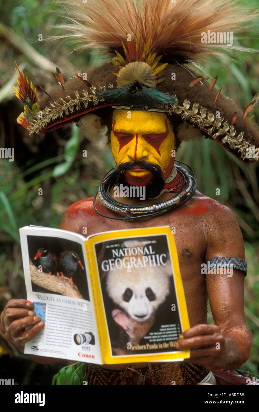 PAPUA NEU GUINEA, Huli Wigman Stamm. Southern Highlands, in der Nähe von Tari, Mann liest bei Singsing National Geographic Stockfoto