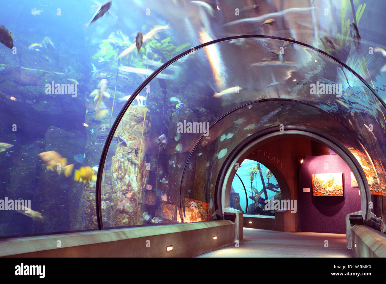 Oregon Coast Aquarium in Newport, Oregon Stockfoto