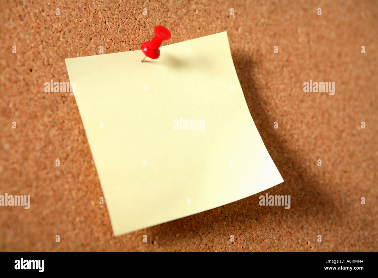Leere Erinnerung Notiz angeheftet Kork Board. Stockfoto