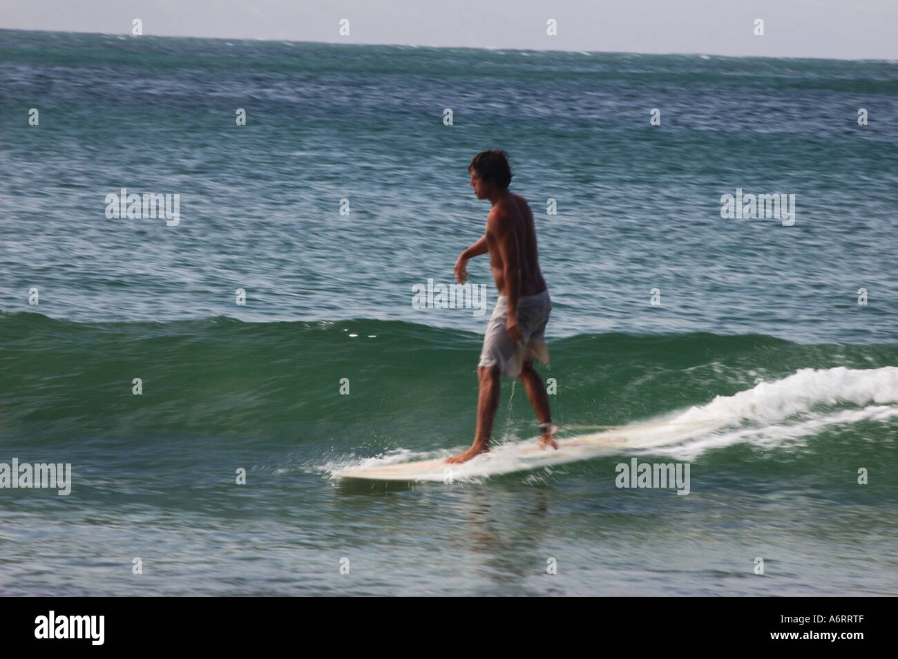 klassische Noosa Longboard-surfer Stockfoto