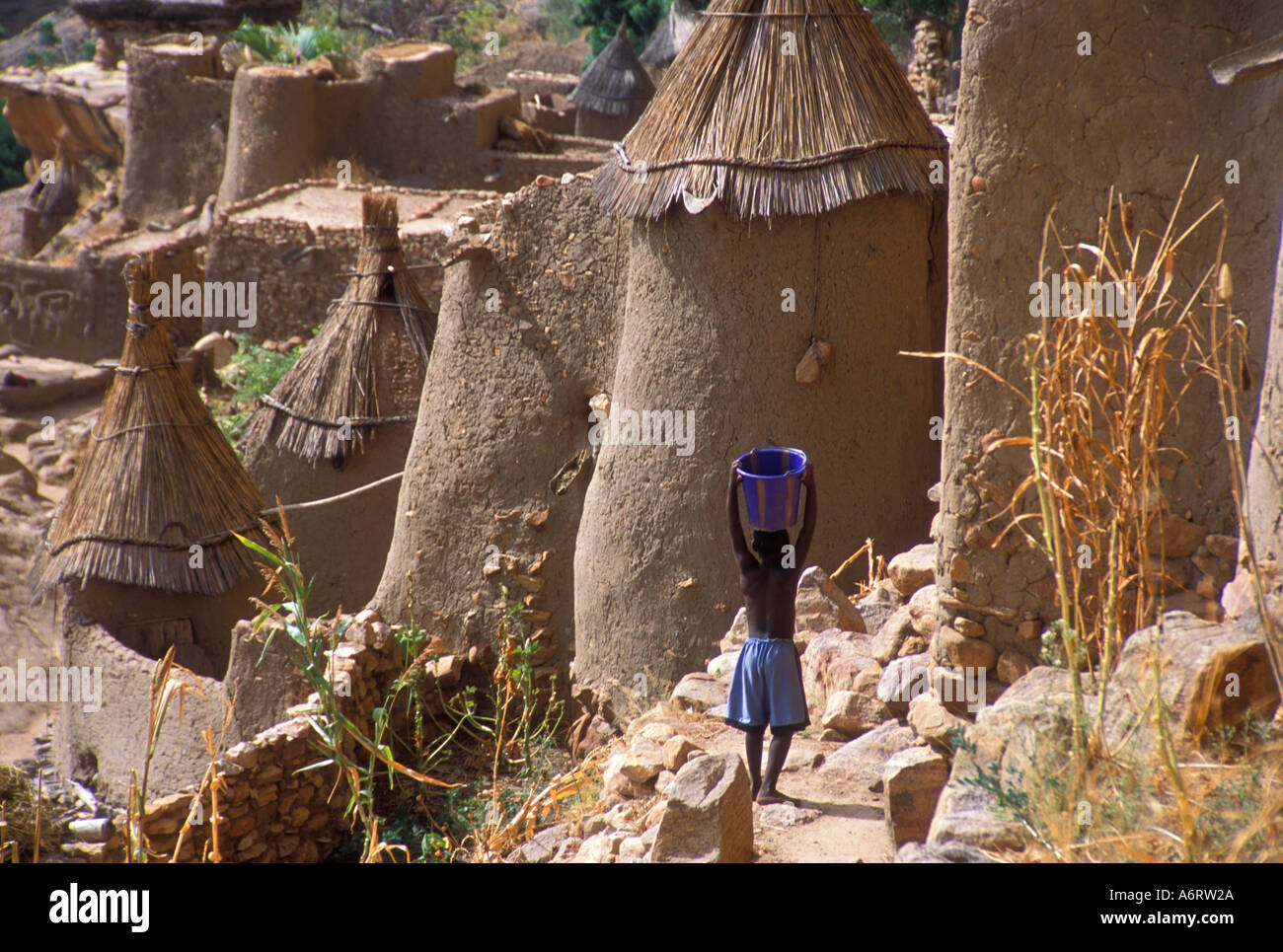 Junge mit einem Eimer auf dem Kopf in Ireli, Dogon Stamm Dorf, Mali, Afrika. (MR) Stockfoto