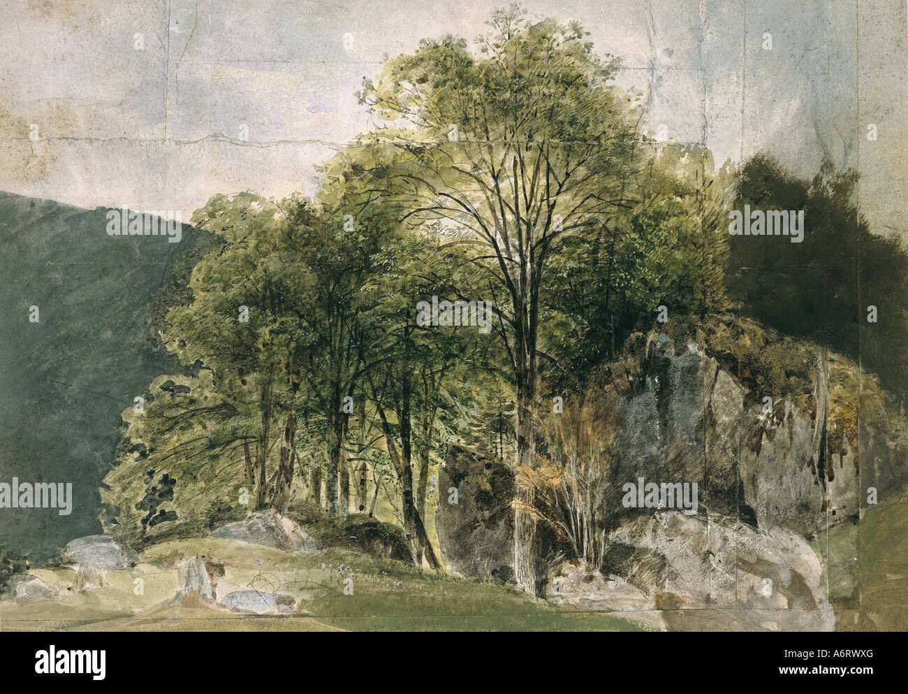 Bildende Kunst, Romantik, Malerei, Beech Grove im Alpenvorland, Aquarell von Kaiser, 19. Jahrhundert, 36 x 44, 2 cm, private Stockfoto