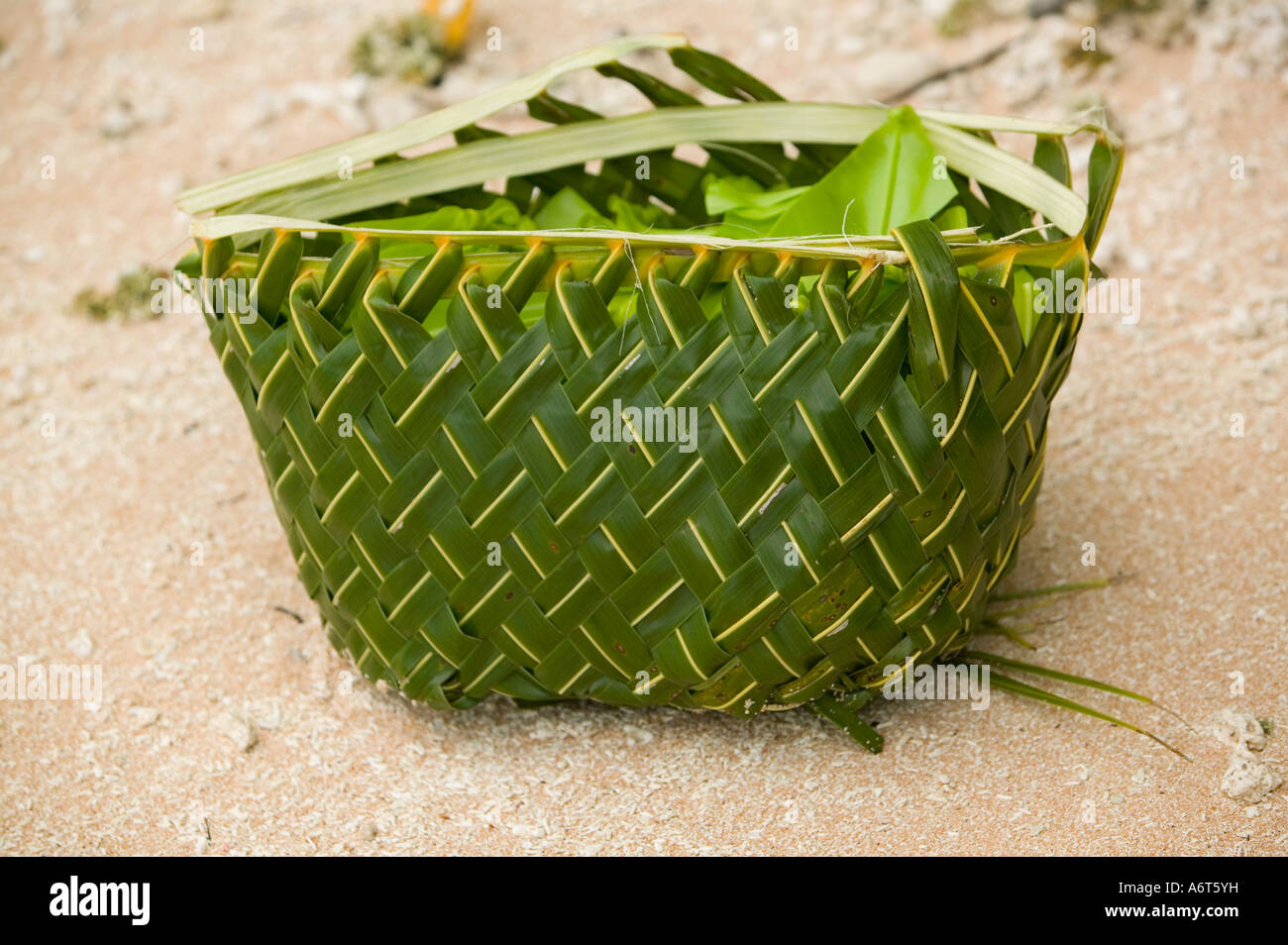 Ein tuvaluischer Korb aus einem Palmwedel her sammeln von Nahrung, Funafuti, Tuvalu Stockfoto