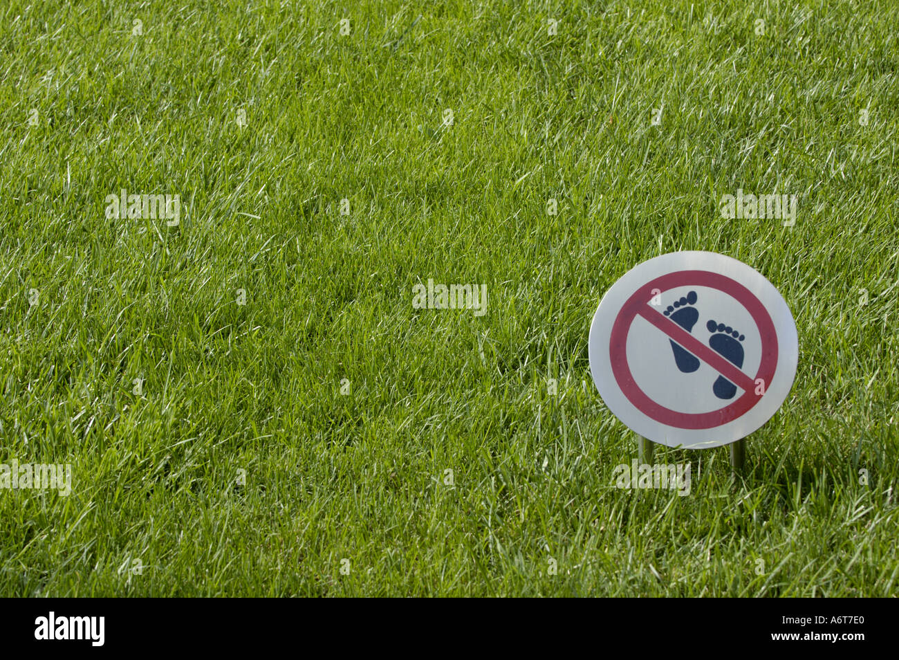 Kein Fuß auf dem Rasen-Schild auf einer Wiese Stockfoto