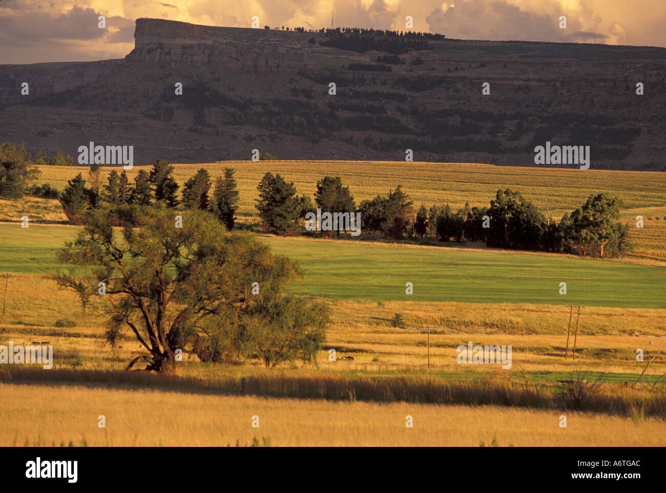 Afrika, The Free State, Eastern Highlands; Maluti Moutains, Route 26 Stockfoto