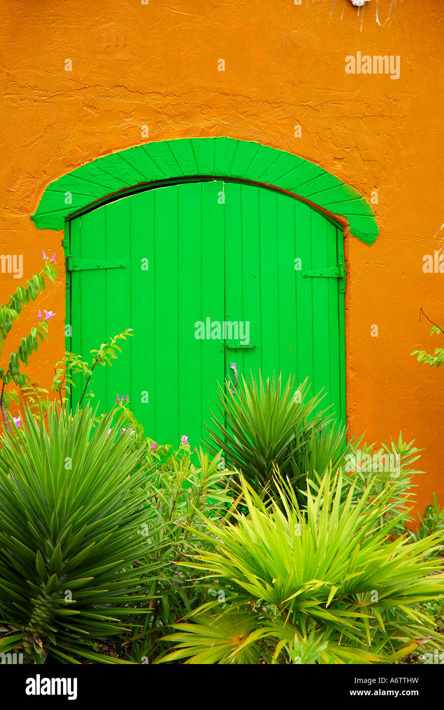 Bahamas Kolonialstil Tür hellgrüne Farbe gelbe Wand Stockfoto