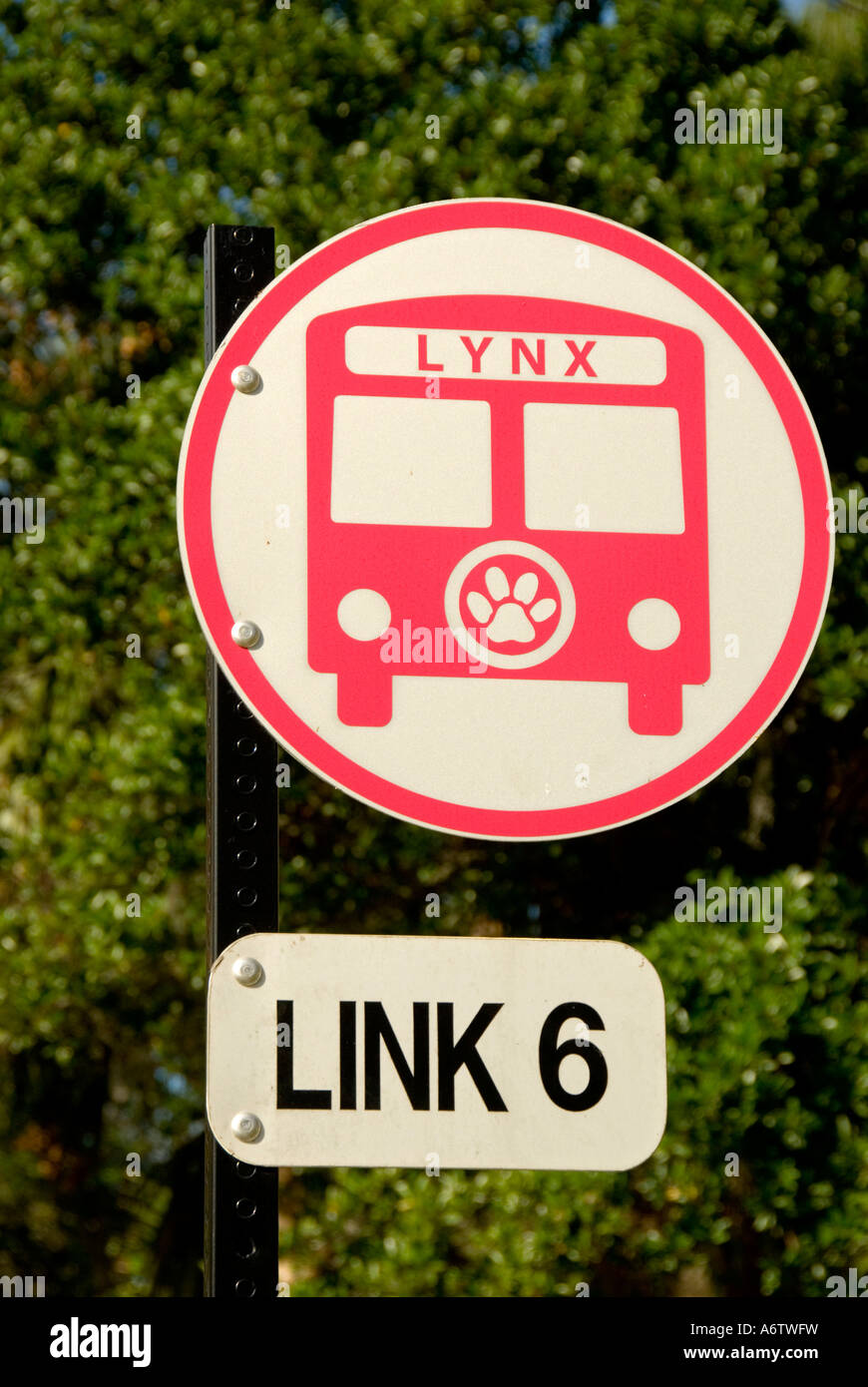 Orlando Florida Lynx öffentlichen Bus Stop-Schild Stockfoto