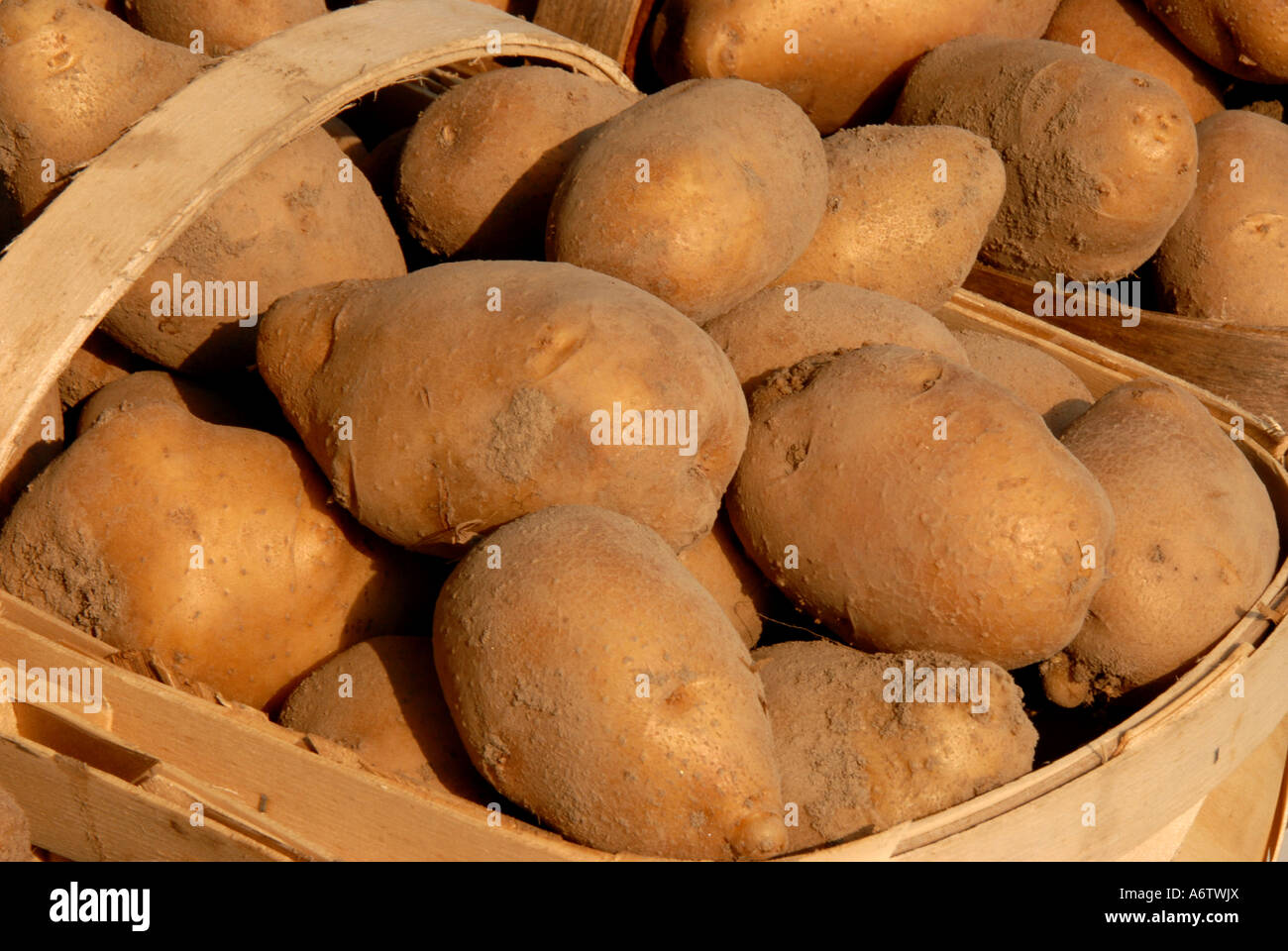 Pflanzliche Produkte Markt weiße Kartoffeln Stockfoto