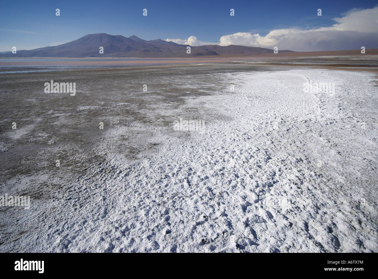 Borax (Rohstoff für keramische Produktion) in die Laguna Colorada, Hochland von Uyuni, Bolivien Stockfoto