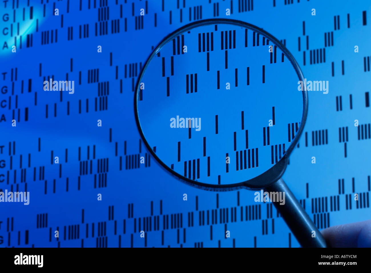 DNA-Sequenz unter einer Lupe in einem Labor untersucht Stockfoto