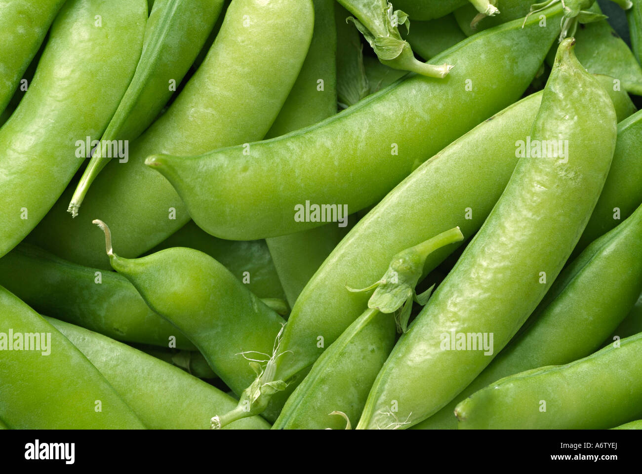 Grüne Erbsen Nahaufnahme frisch geerntete Produkte aus biologischem Anbau Stockfoto