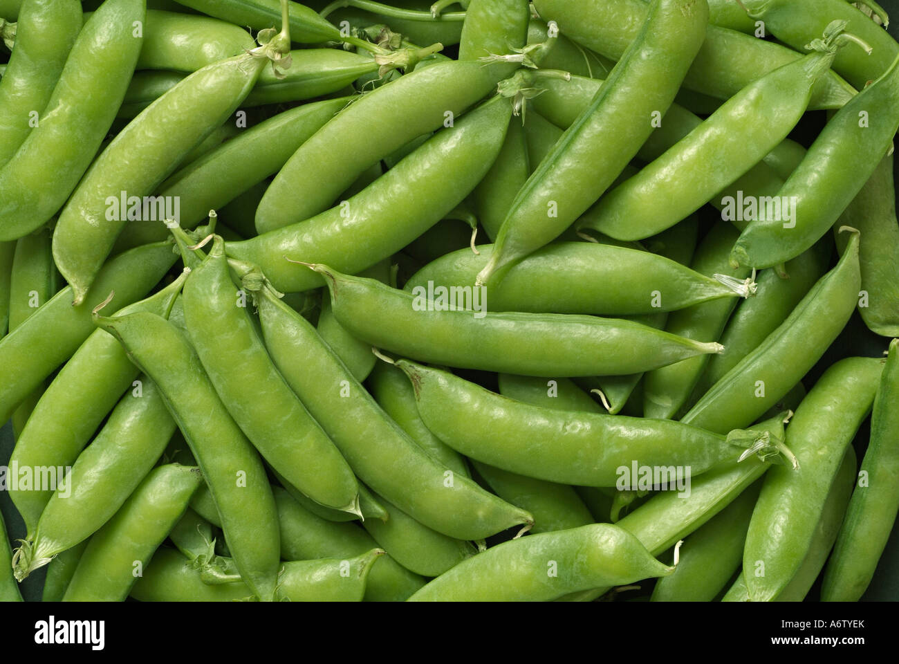 Grüne Erbsen Nahaufnahme frisch geerntete Produkte aus biologischem Anbau Stockfoto