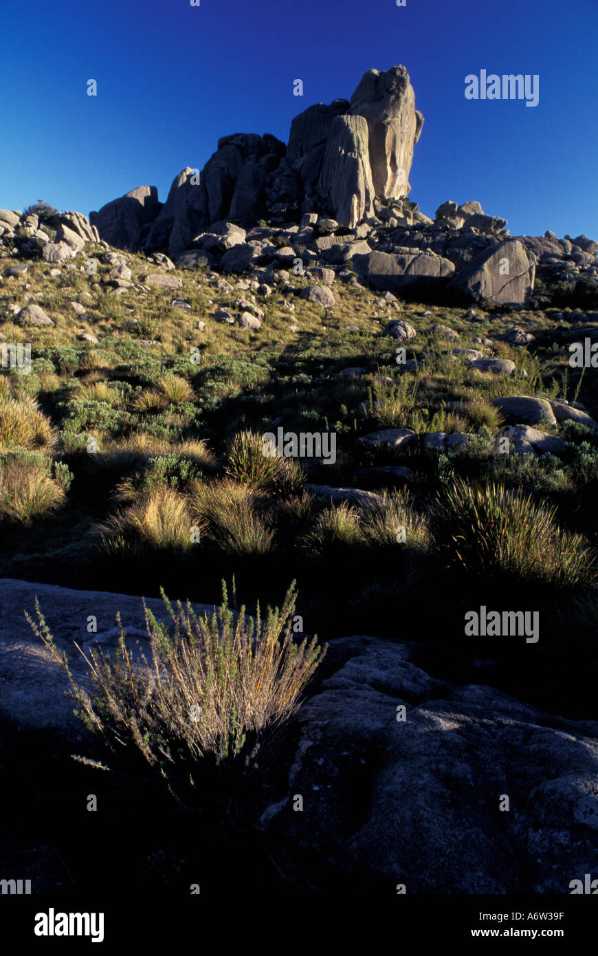 Maciço de Itatiaia Itatiaia Massivs nennt man die höchsten Gipfel des Massivs der Agulhas Negras schwarze Nadeln Zustand Stockfoto