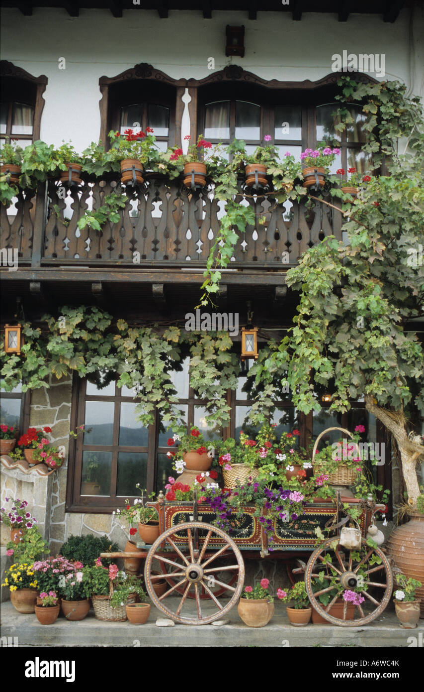 Warenkorb, Veliko Tarnovo, Bulgarien Stockfoto