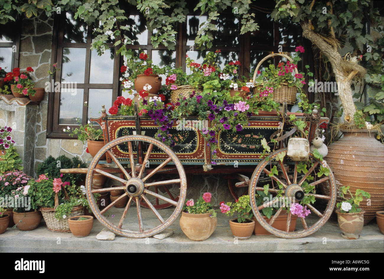 Warenkorb, Veliko Tarnovo, Bulgarien Stockfoto