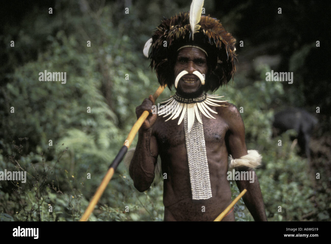 Asien, Indonesien, West Papua (Irian Jaya), Baliem Tal. Dani Tribesman mit Shell Halskette, Feder Hut Stockfoto