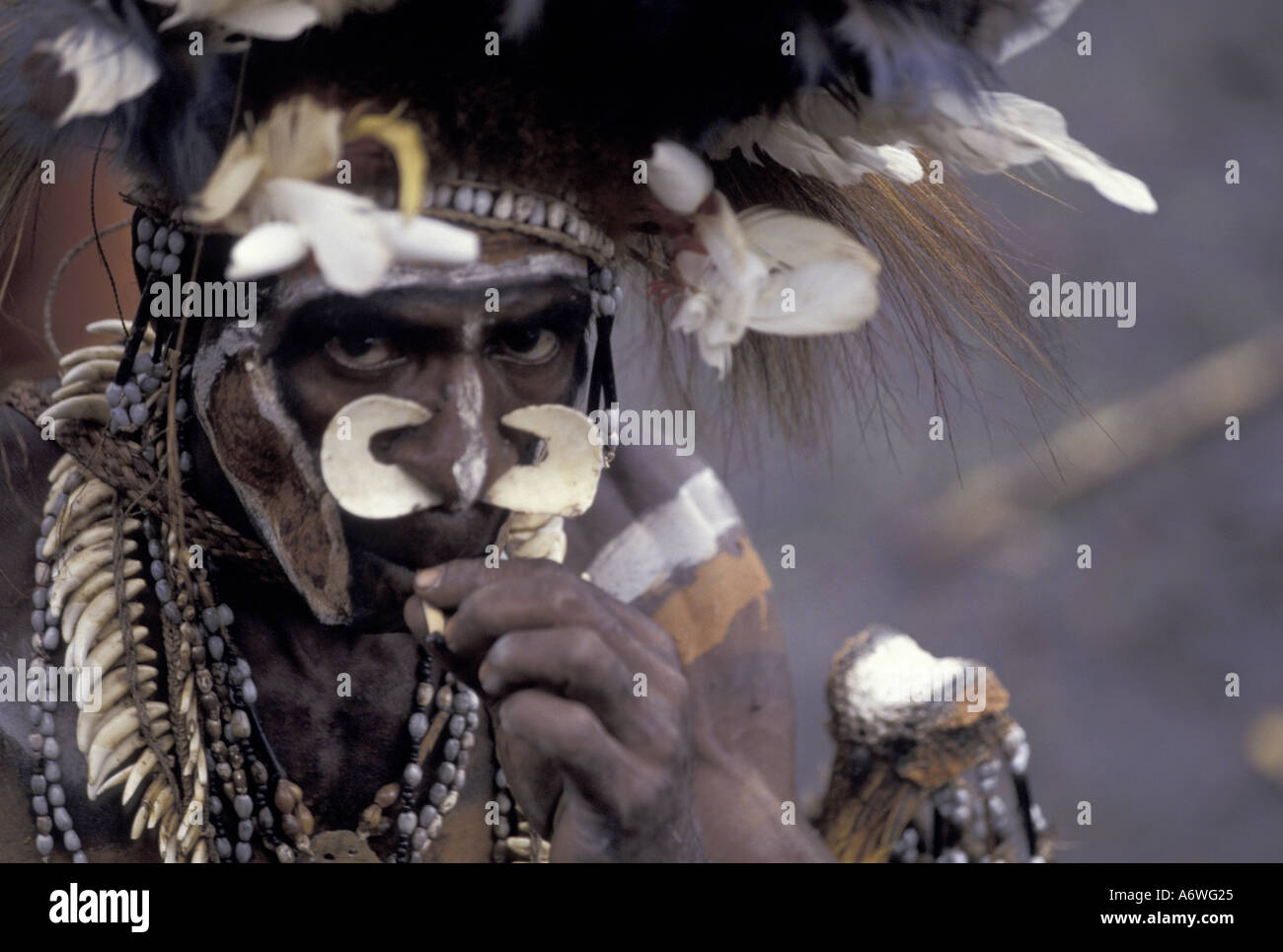 Asien, Indonesien, West Papua (Irian Jaya), Asmat Region, Ocanep Dorf. Asmat Krieger, Porträt Stockfoto
