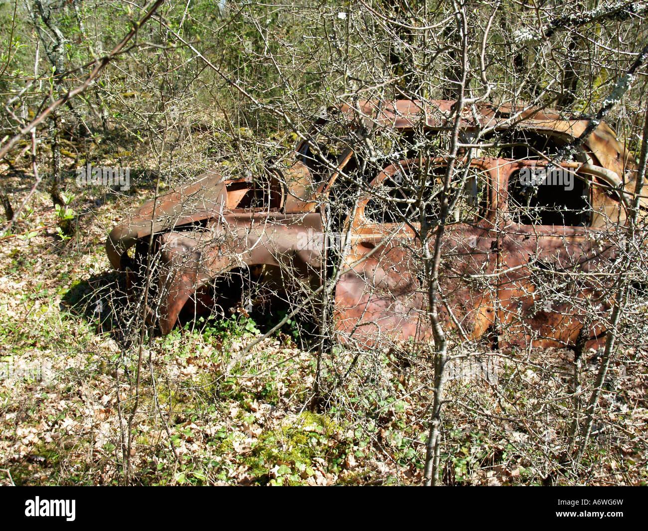 Wrack eines Autos in der Natur Stockfoto