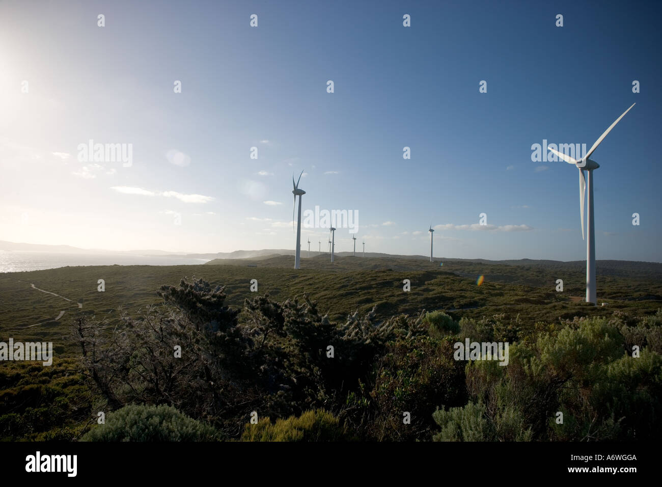 Windpark in Westaustralien Frenchmans Bay Stockfoto