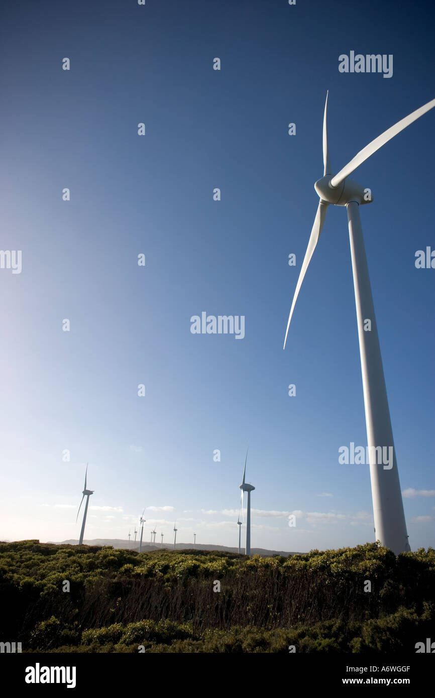 Windpark in Westaustralien Frenchmans Bay Stockfoto