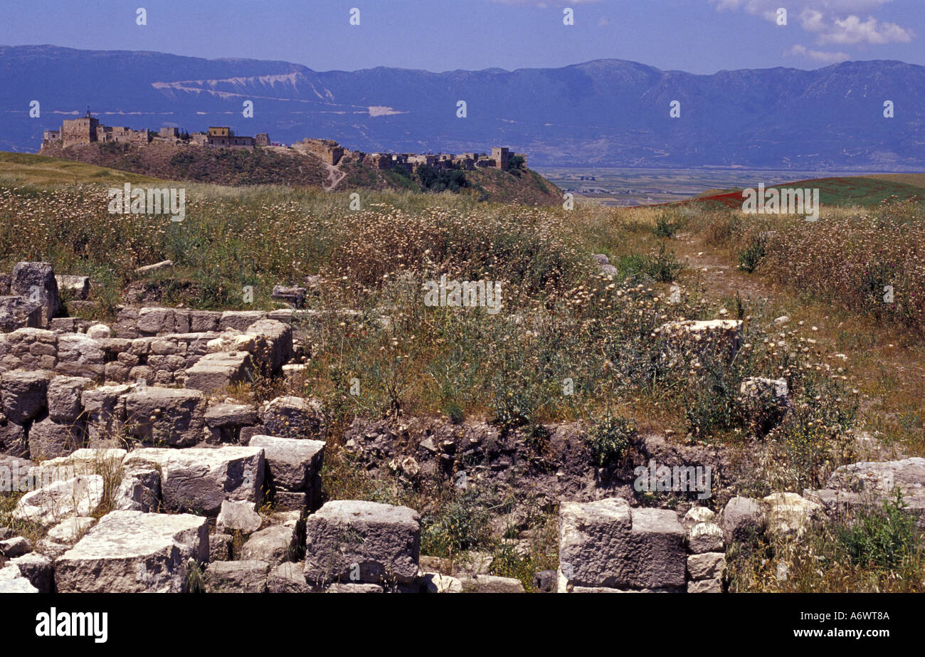 Syrien, Apameia, römische Ruinen und Blick auf die Zitadelle. Stockfoto