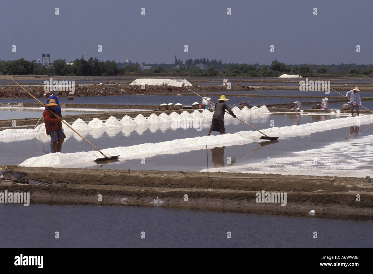 Thailand, in der Nähe von Bangkok. Einheimischen ernten Meersalz. (MR) Stockfoto