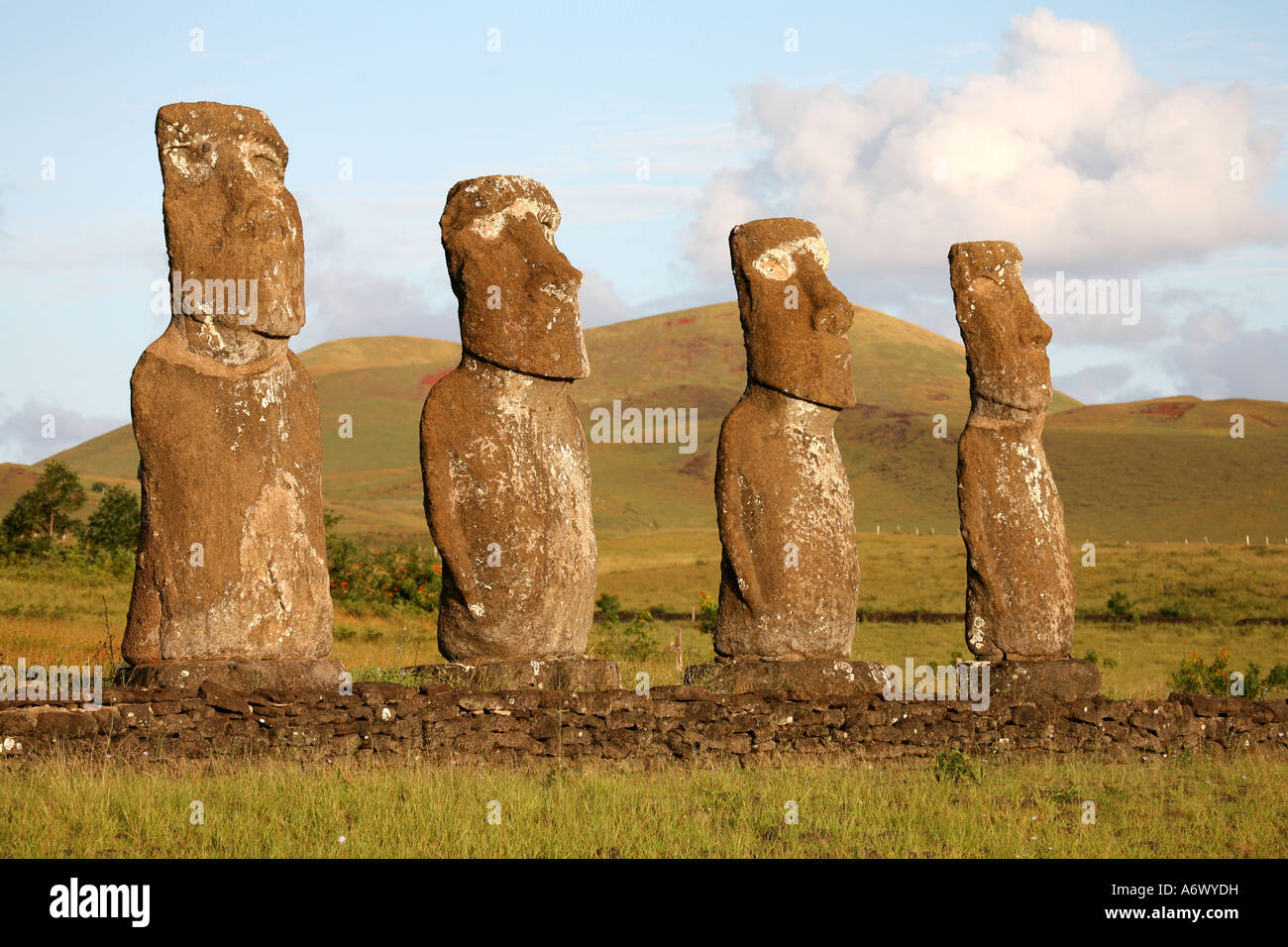 Osterinsel Rapa Nui Moai (Köpfe) Stockfoto