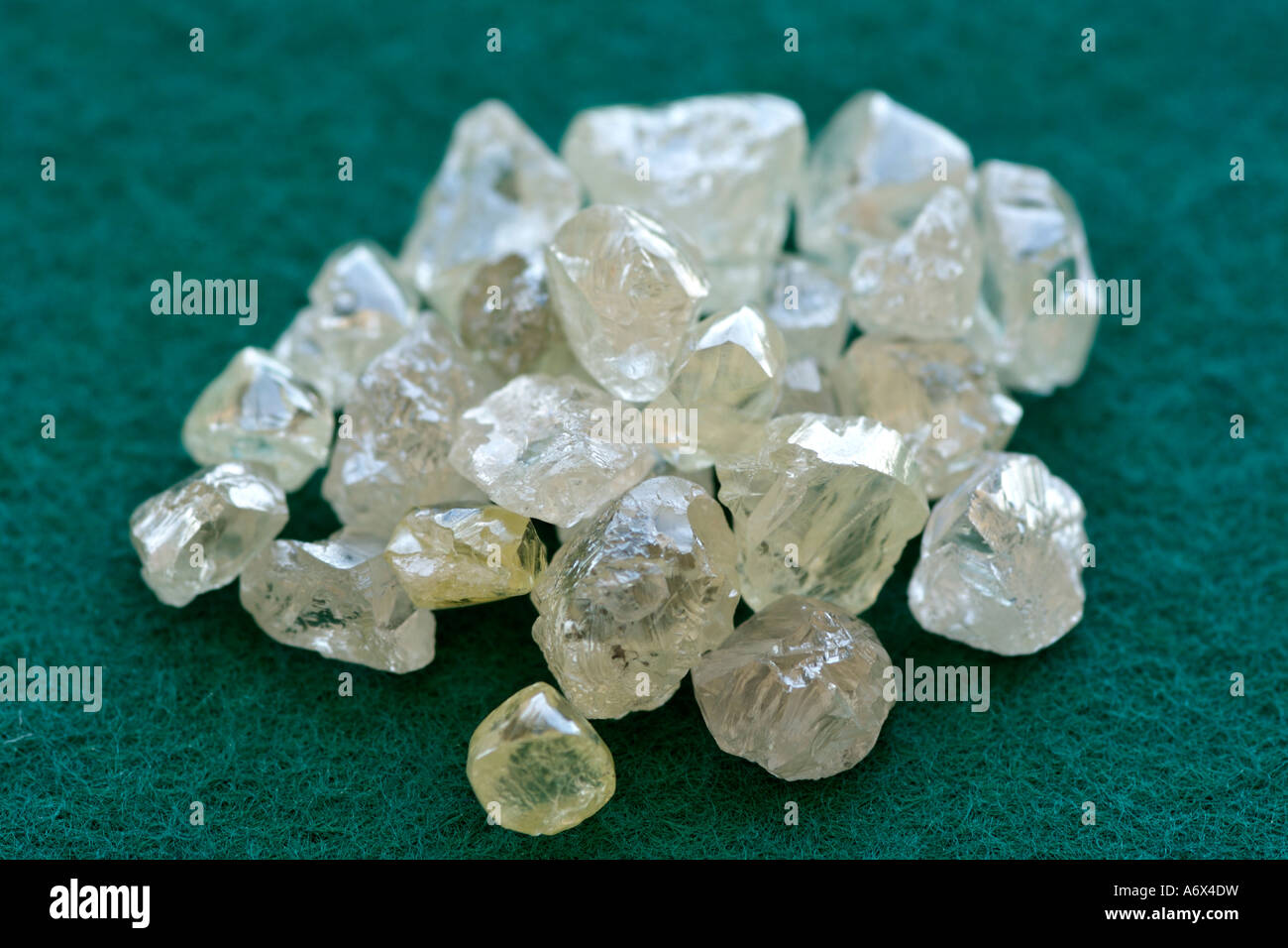 Rohdiamanten in der Sortierung Room at De Beers Diamond Trading Company in Harry Oppenheimer House in Kimberley, Südafrika. Stockfoto