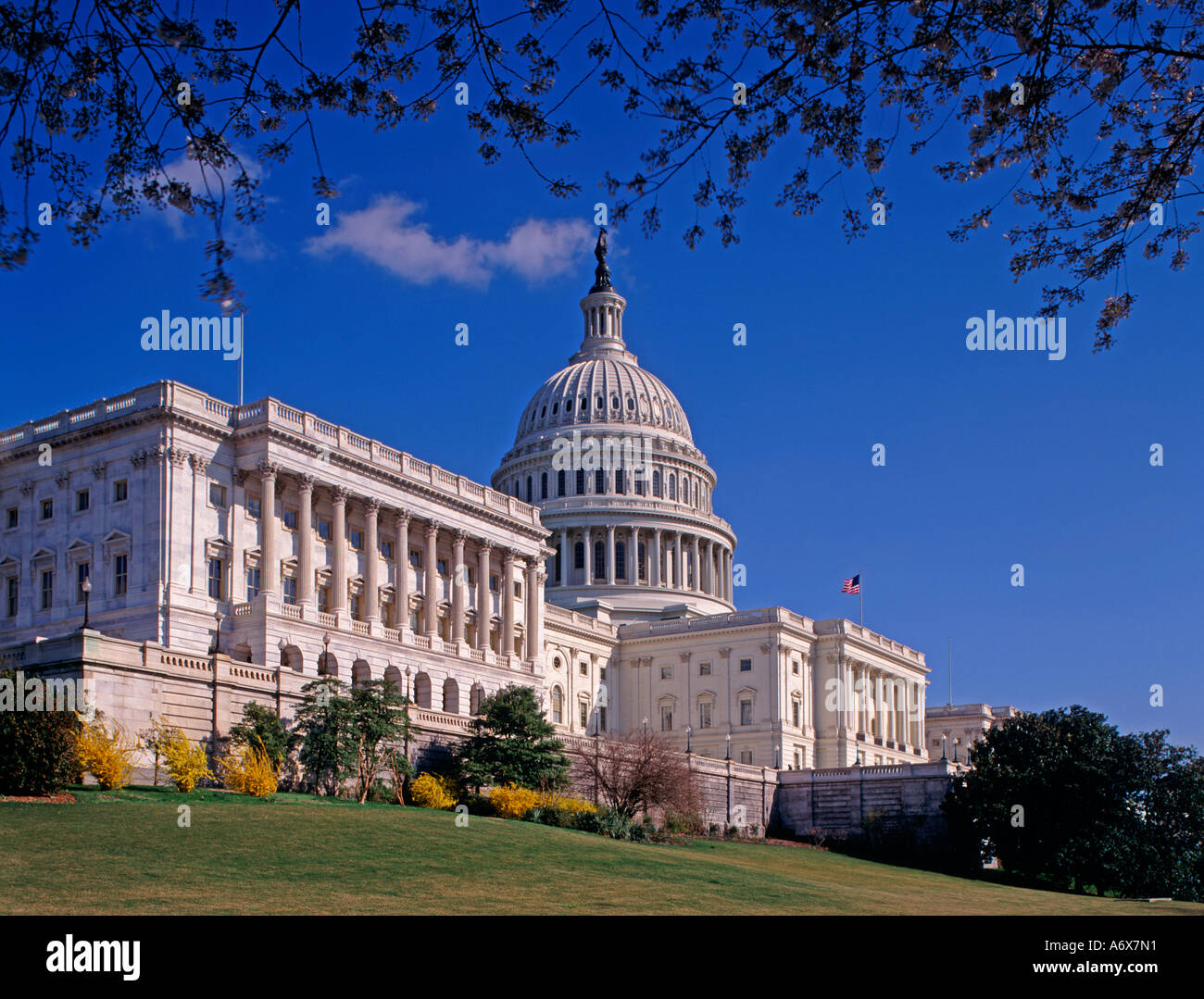 Washington State Capitol Building, Washingtion D.C., USA Stockfoto
