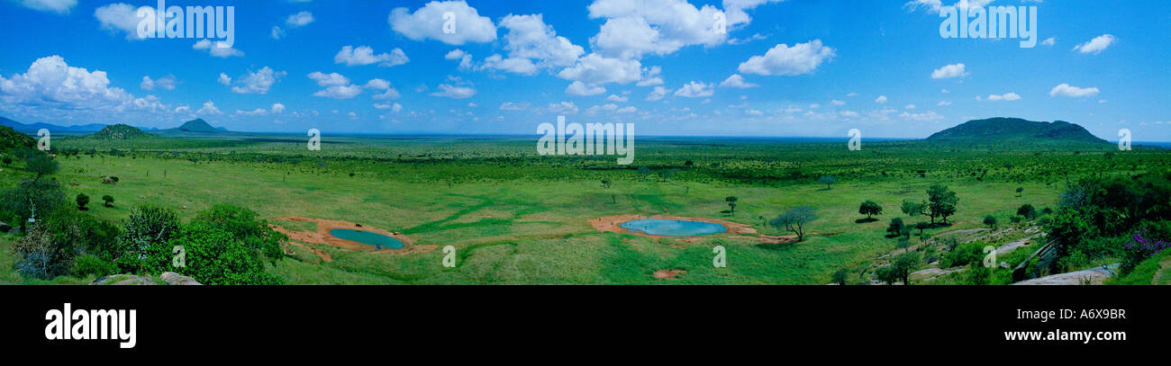 Eine Panorama-Aufnahme des Tsavo Nationalparks in Kenia, Afrika. Eine afrikanische Savanne Stockfoto