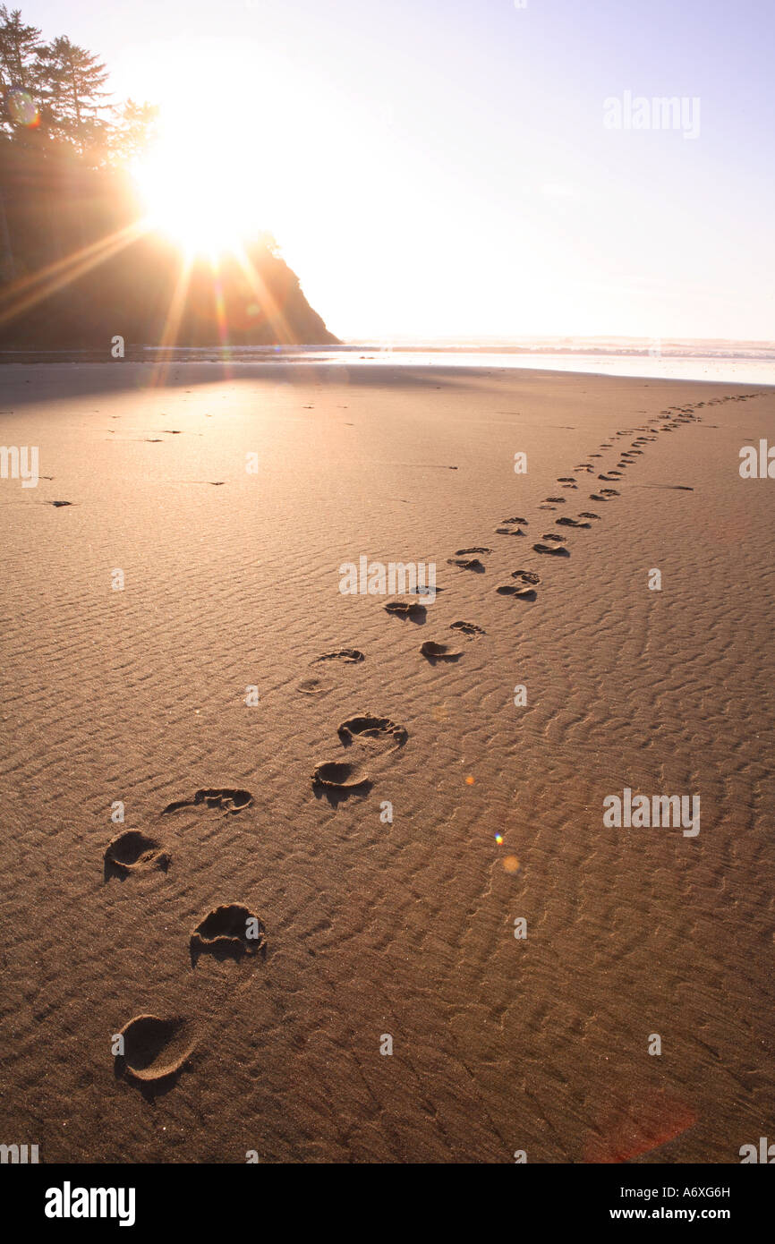 Fußspuren im sand Stockfoto
