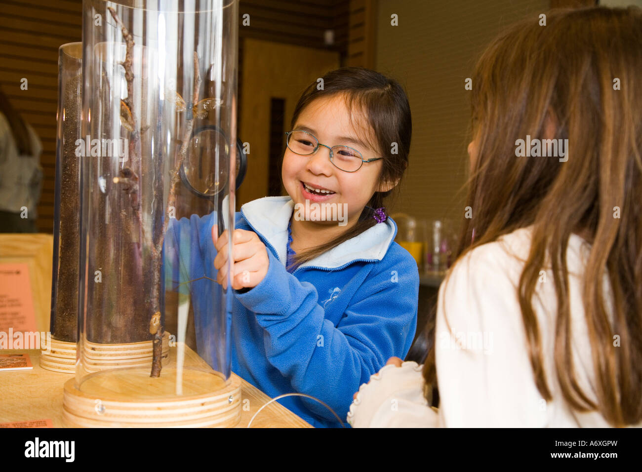 BEWAHRT Ryerson Student Verwendung Lupe um Zikaden in Plexiglas Rohr Bildungsprogramm zu studieren Stockfoto