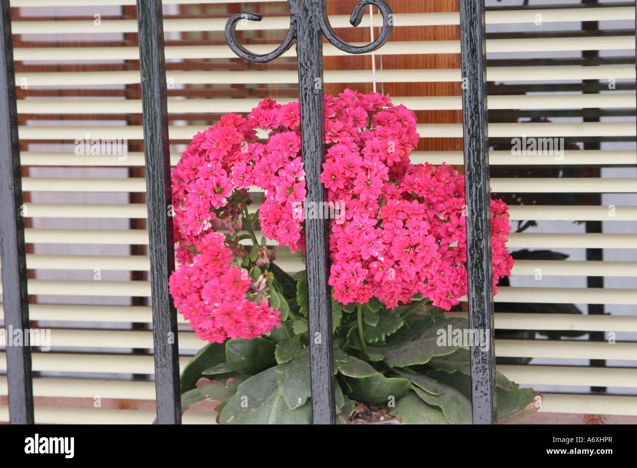 Andalusien, Spanien Stockfoto