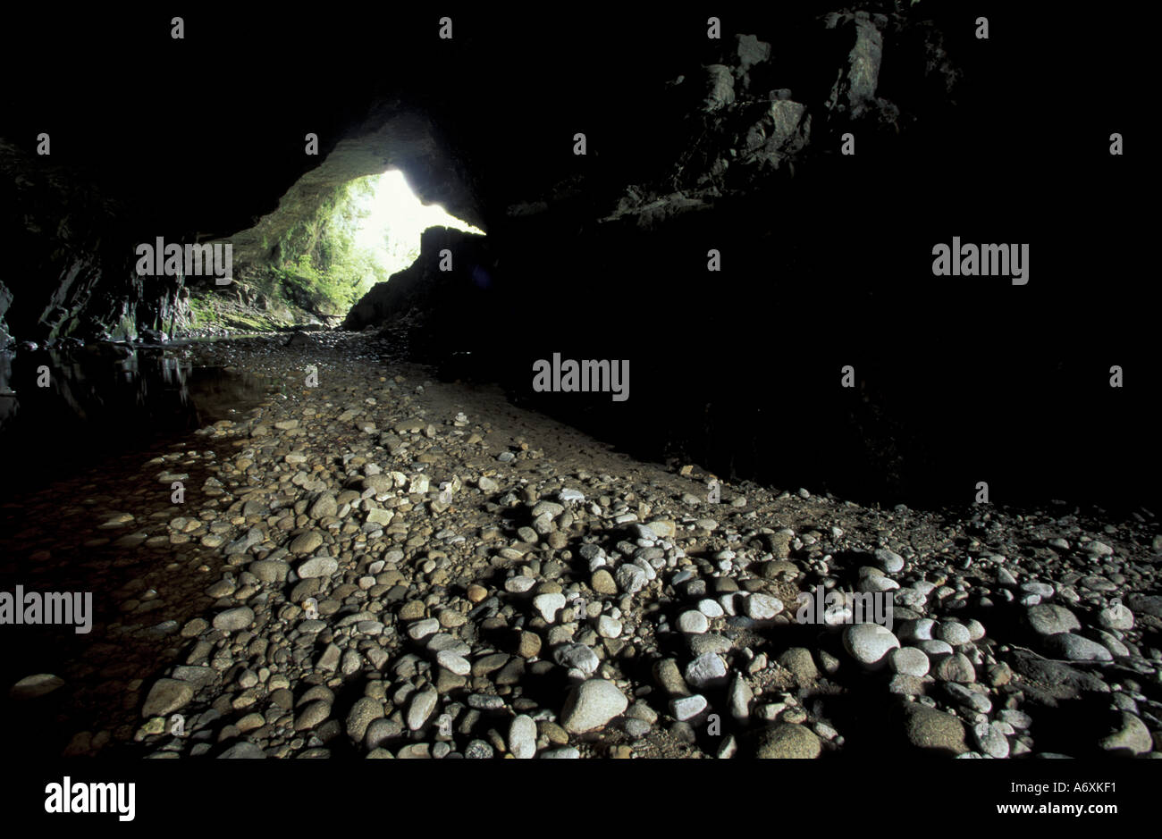 Neuseeland, Südinsel. Der Oparara-Fluss fließt durch eine Kalksteinhöhle im Großraum Karamea Stockfoto