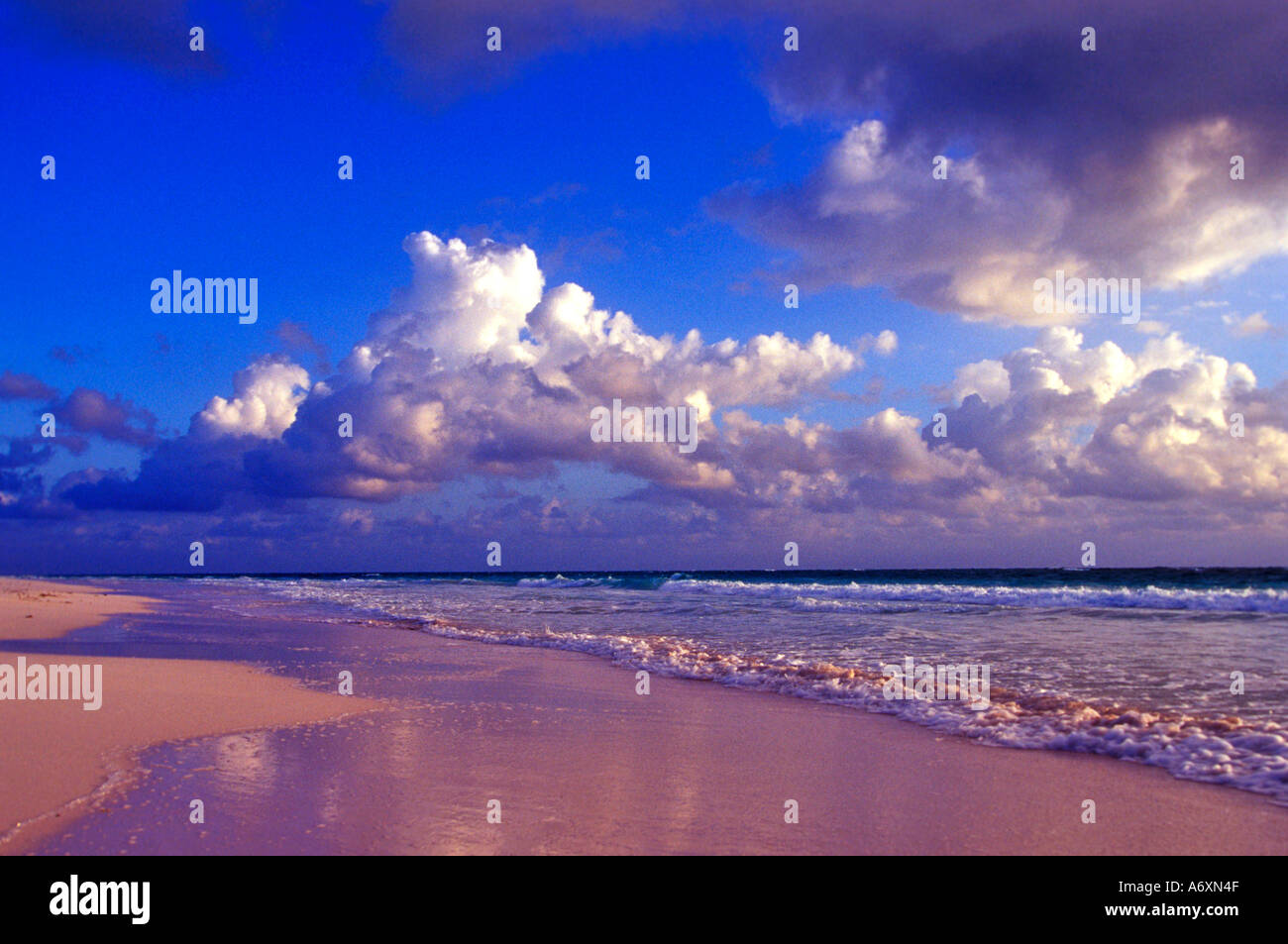 Pink Sand Beach, Harbour Island, Bahamas. Stockfoto
