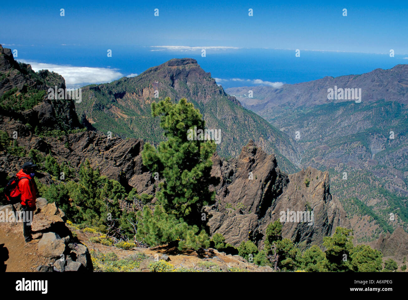 Trekker, Blick auf die umgebende Landschaft Parque Nacional De La Caldera de Taburiente La Palma Kanaren Spanien Atlantik Stockfoto